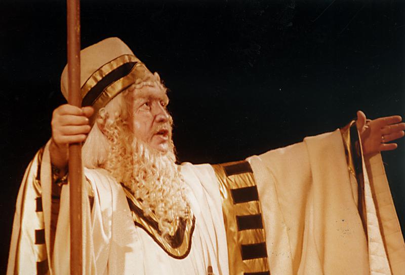 image-2011-01-17-8214902-41-basul-pompeiu-harasteanu