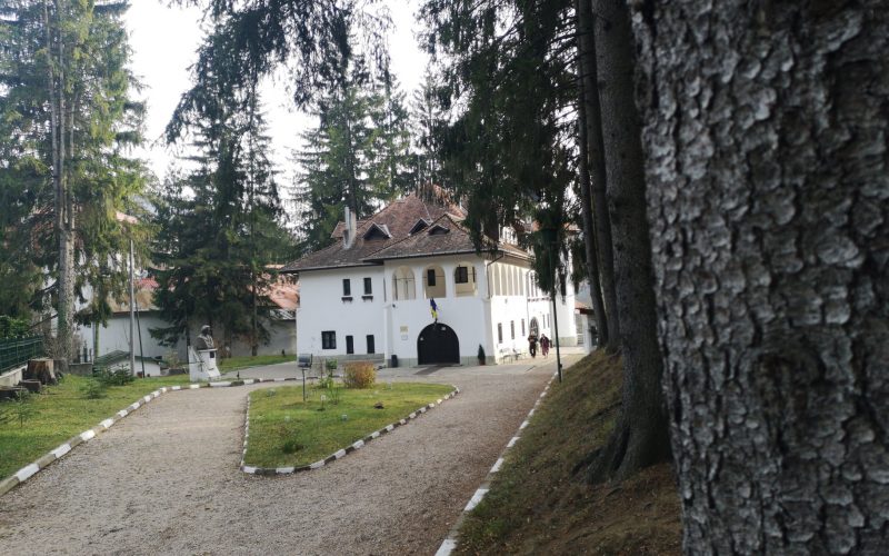 „SIMPLITATEA ÎN VIAȚĂ ESTE ADEVĂRATA LIBERTATE” – GEORGE ENESCU