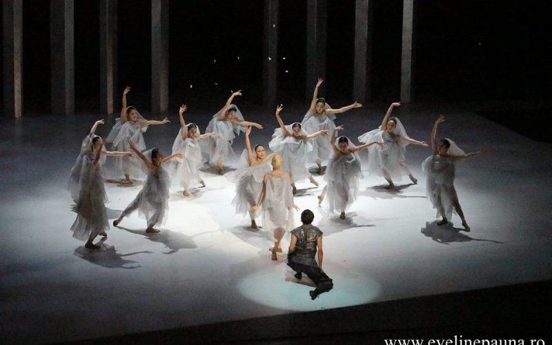 LA BAYADÈRE, NATION OF ILLUSION – NOISM – ÎNTÂLNIRILE JTI